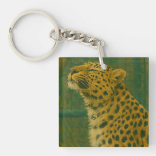 Porte-clés Silence éclairé - Leopard au repos dans la lumière
