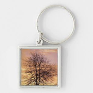 Porte-clés Silhouette d'un arbre avec le ciel rose et orange