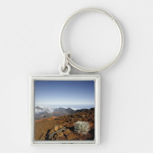 Porte-clés Silversword sur le bord du cratère Haleakala de pr