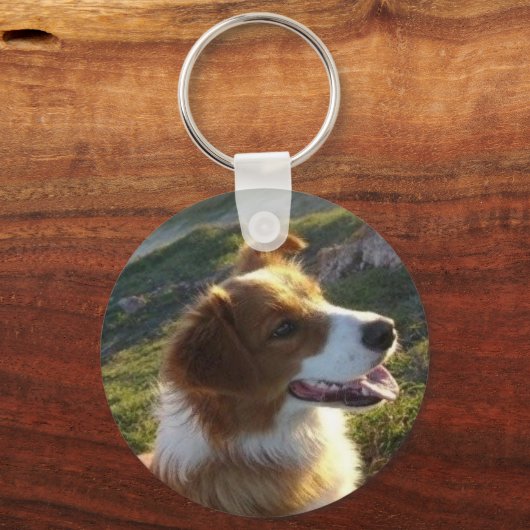 Porte-clés Simba (Recto)