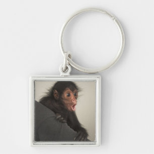 Porte-clés Singe araignée à face rouge Ateles paniscus)