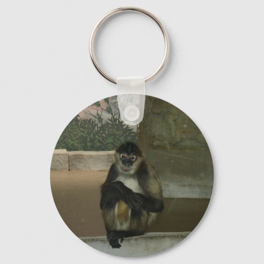 Porte-clés singe assis joliment (Recto)