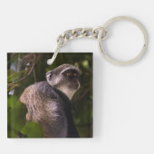 Porte-clés Singe bleu, Zanzibar (Dos)