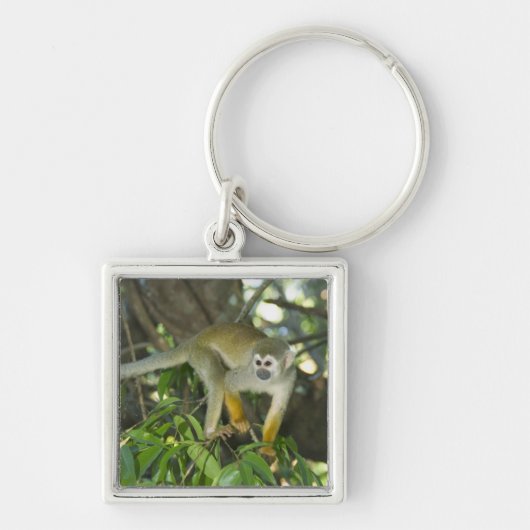 Porte-clés Singe écureuil commun, (Saimiri sciureus), Rio (Devant)