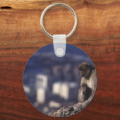 Porte-clés Singe pensif à Gibraltar (Recto)