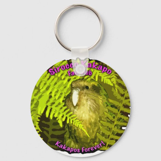 Porte-clés Sirocco dans les fougères (Recto)