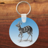 Porte-clés Sitatunga ou Marshbuck (Recto)