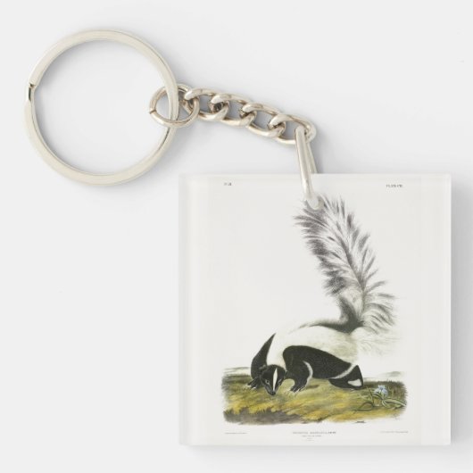 Porte-clés Skunk à capuchon ou Skunk à grande queue d'Audubon (Devant)