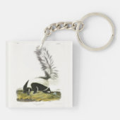 Porte-clés Skunk à capuchon ou Skunk à grande queue d'Audubon (Dos)