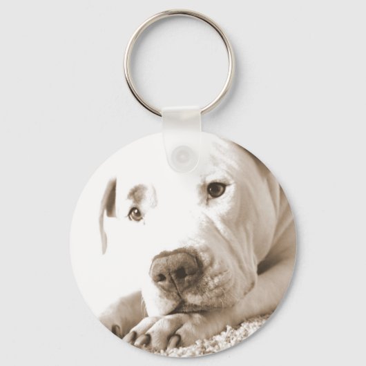 Porte-clés sleepy friendly white pitbull hate deed not breed (Recto)