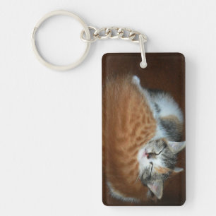 Porte-clés Sleepy kittens
