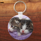 Porte-clés Sleepy kittens (Recto)