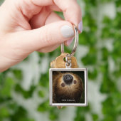 Porte-clés Sloth à deux doigts du Sud (main)