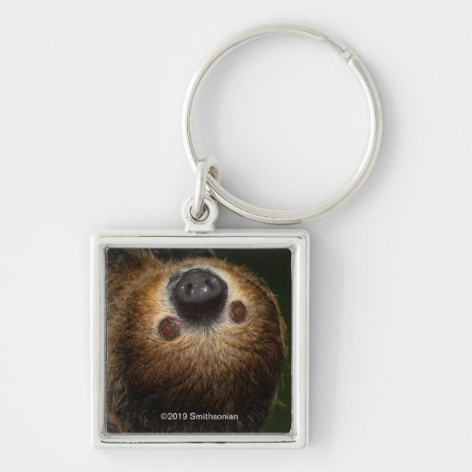 Porte-clés Sloth à deux doigts du Sud (Devant)