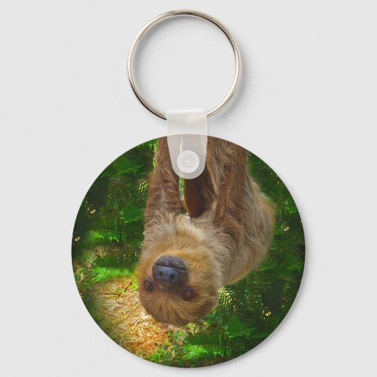 Porte-clés Sloth Rainforest Cadfts (Recto)
