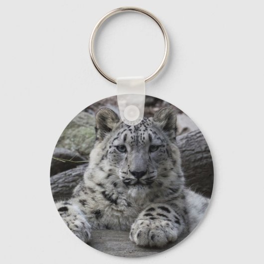 Porte-clés Snow Leopard Cub assis (Recto)