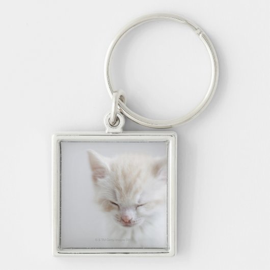 Porte-clés Sommeil blanc de chaton (Devant)