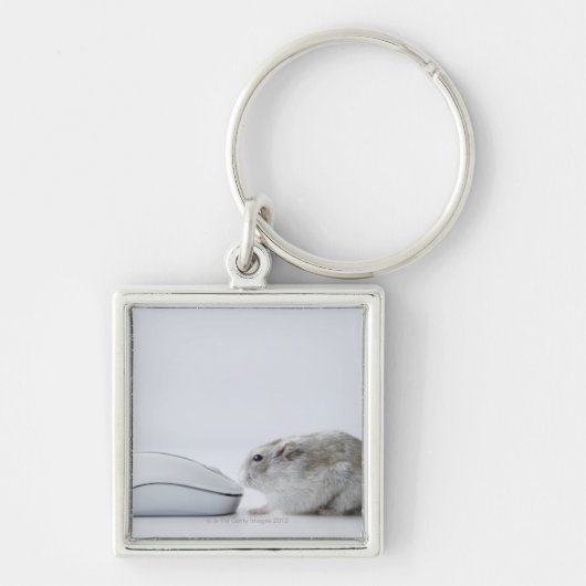 Porte-clés Souris de hamster et d'ordinateur (Devant)