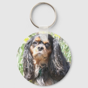 Porte-clés Spaniel Cavalier King Charles peint