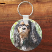 Porte-clés Spaniel Cavalier King Charles peint (Recto)