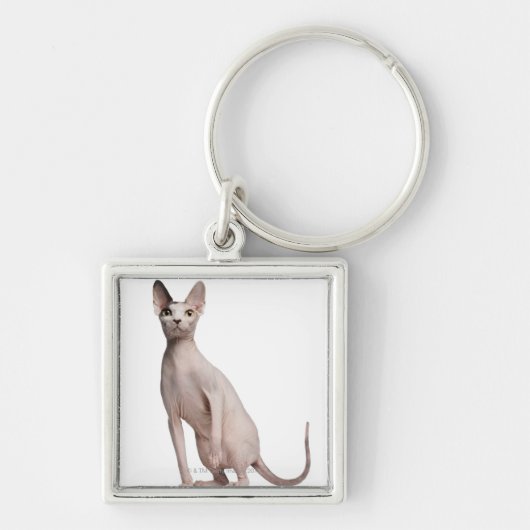 Porte-clés Sphynx (13 mois) (Devant)