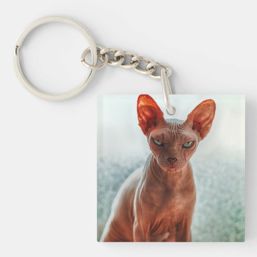 Porte-clés Sphynx sans cheveux (Devant)