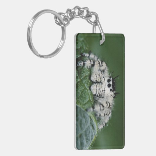 Porte-clés Spider de la Métaphide (Devant gauche)