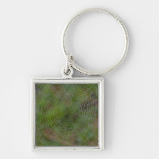 Porte-clés Spiderweb avec Droplets (Devant)