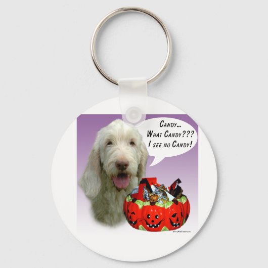 Porte-clés Spinone Italiano Halloween Candy (Recto)