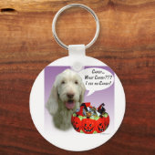 Porte-clés Spinone Italiano Halloween Candy (Recto)