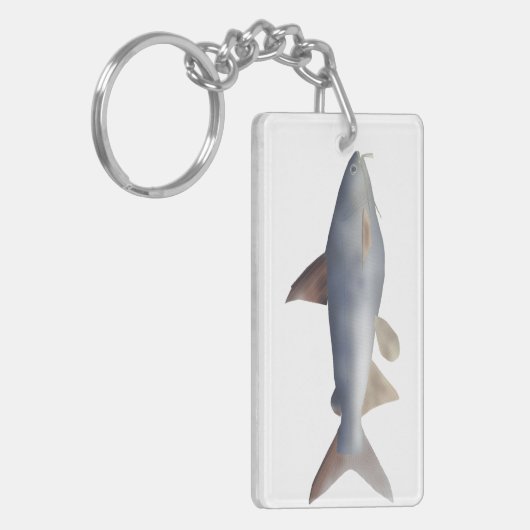 Porte-clés Spotted Catfish (Devant gauche)