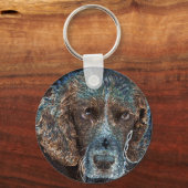 Porte-clés Springer anglais (Recto)