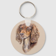 Springer Sprocker Cocker Spaniel Chien Clavier