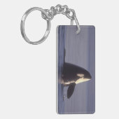 Porte-clés Spyhopping Orca Killer Whale (Orca orcinus) près d (Devant gauche)