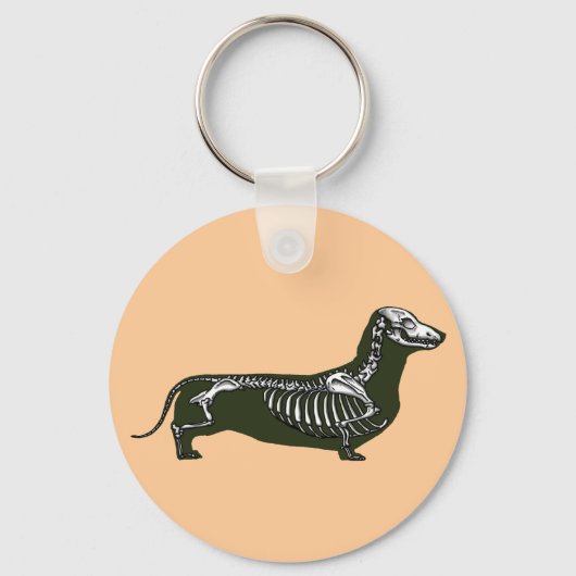 Porte-clés squelette dachshund (Recto)