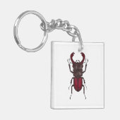 Porte-clés Stag beetle (Devant gauche)