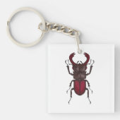 Porte-clés Stag beetle (Devant)