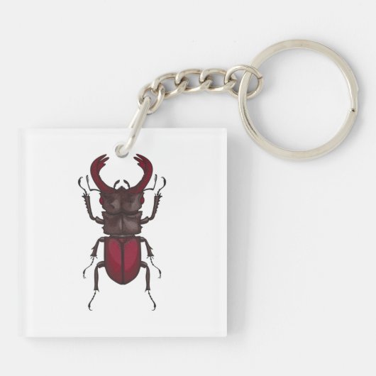 Porte-clés Stag beetle (Dos)
