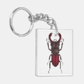 Porte-clés Stag beetle (Devant gauche)