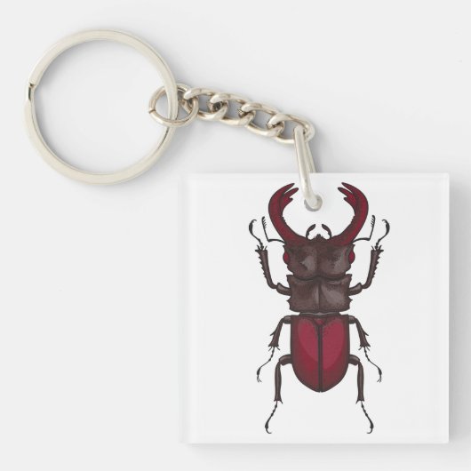 Porte-clés Stag beetle (Devant)