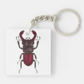 Porte-clés Stag beetle (Dos)
