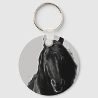 Stallion noir