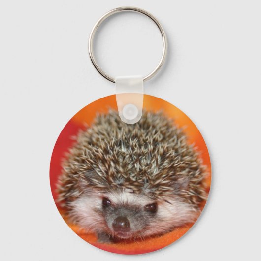 Porte-clés Standard foncé hh (Recto)