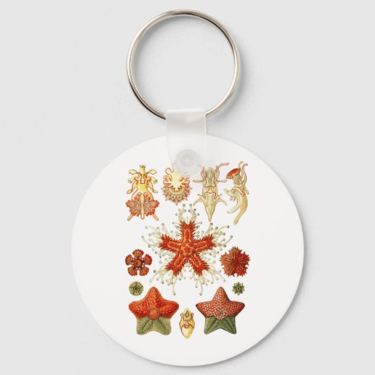 Porte-clés Starfish (Recto)