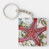 Porte-clés Starfish, Zanzibar, Tanzanie (Devant)