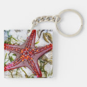 Porte-clés Starfish, Zanzibar, Tanzanie (Dos)