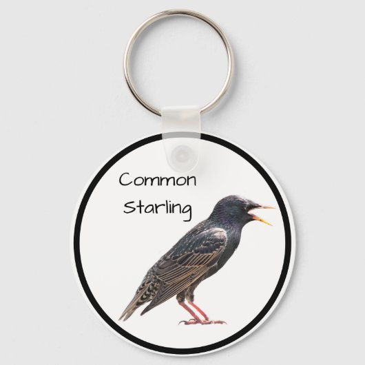 Porte-clés Starling commun (Recto)