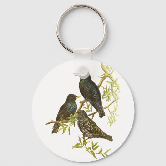 Porte-clés Starling européen (Recto)