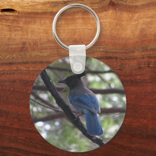 Porte-clés Stellar Jay- Yosemite (Recto)