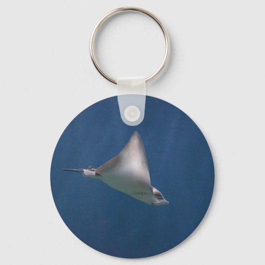 Porte-clés Stingray (Recto)